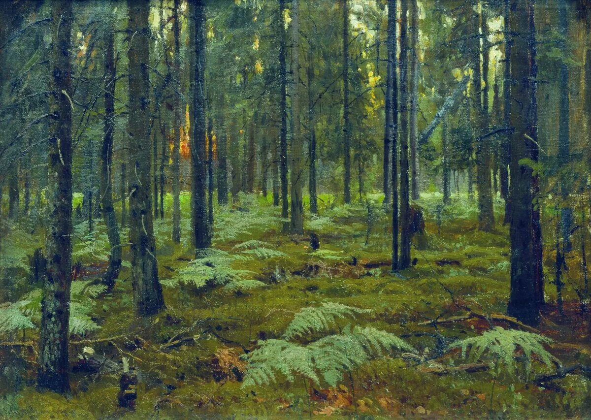 С. Жуковский "Лес. Папоротники. Закат", 1895