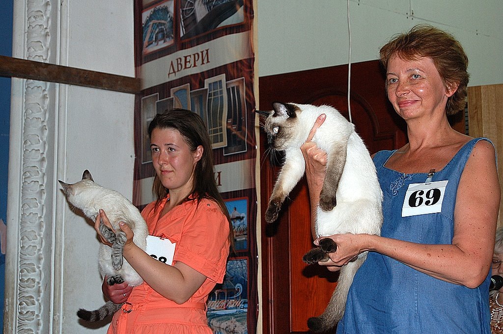 Сатис и Тальсун на выставке в Ялте - это работа