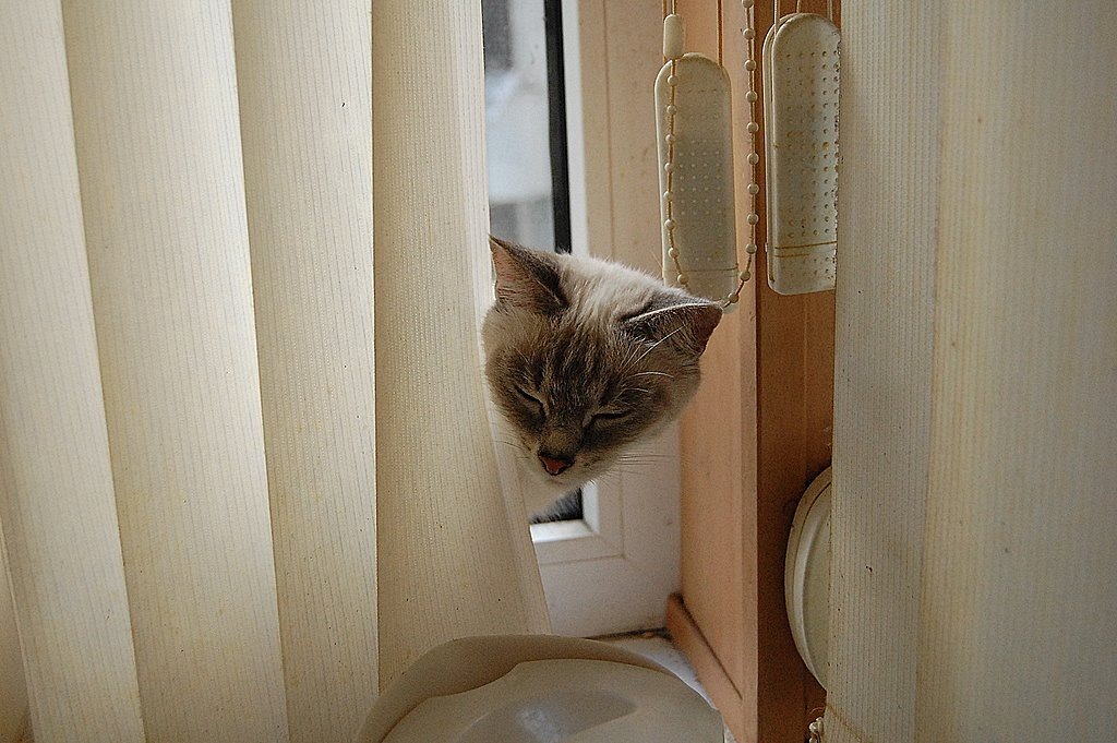 А теперь курортный роман - я к вам пришла, не ждали?