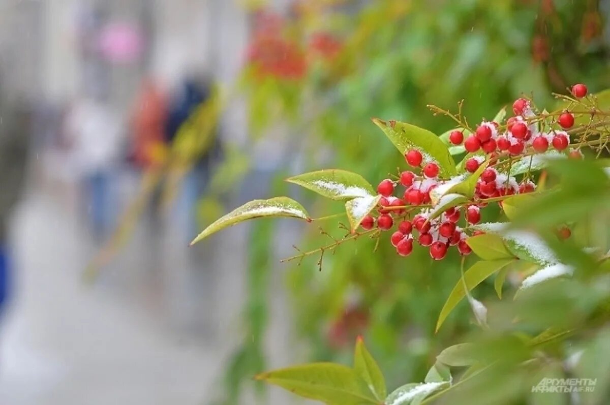    Новосибирцам напомнили о запретах в день Евтихия Тихого 19 апреля