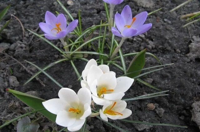    Какой праздник сегодня, 19 апреля 2025 года, и что нельзя делать?