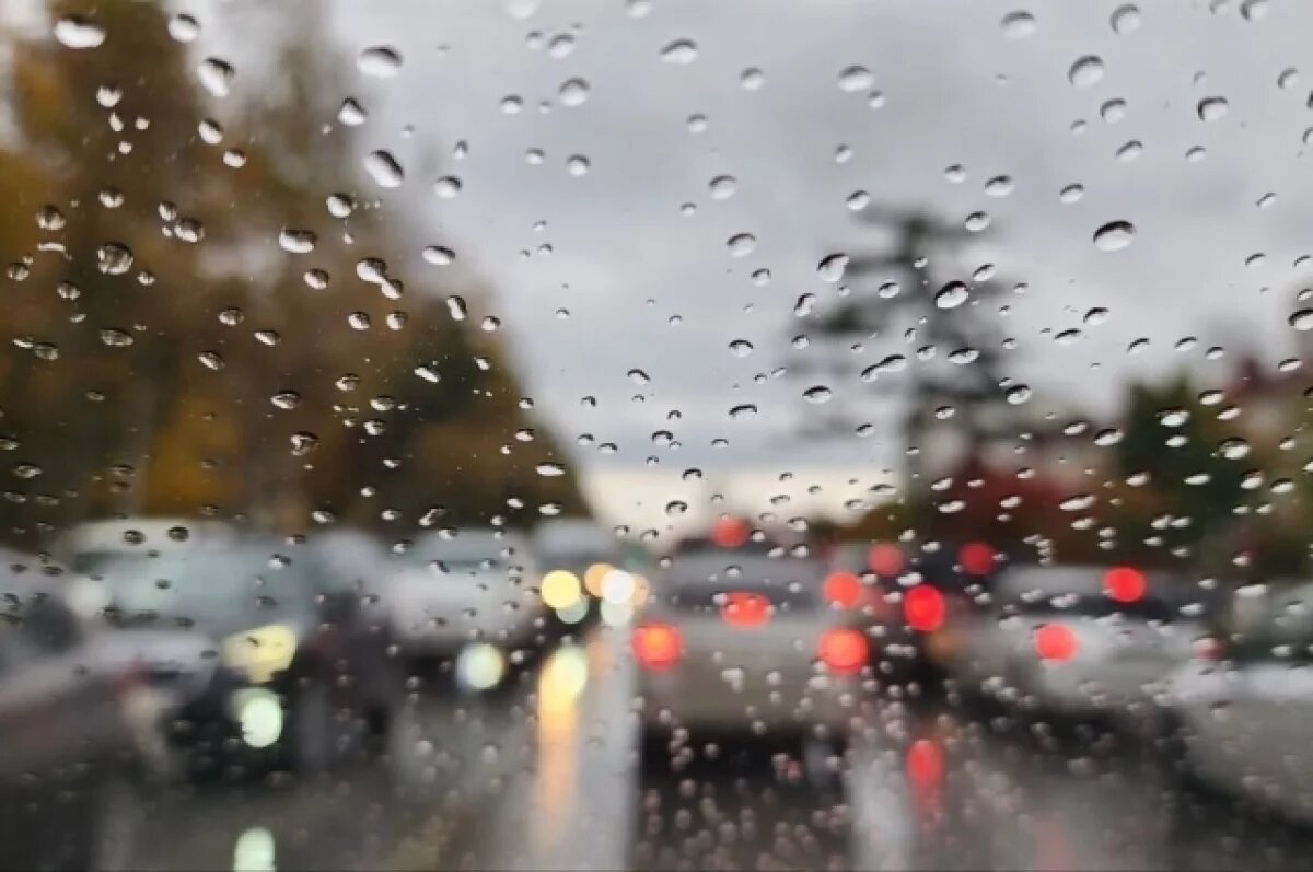    Погода 19 апреля: в Хабаровском крае ожидаются дожди и прохлада