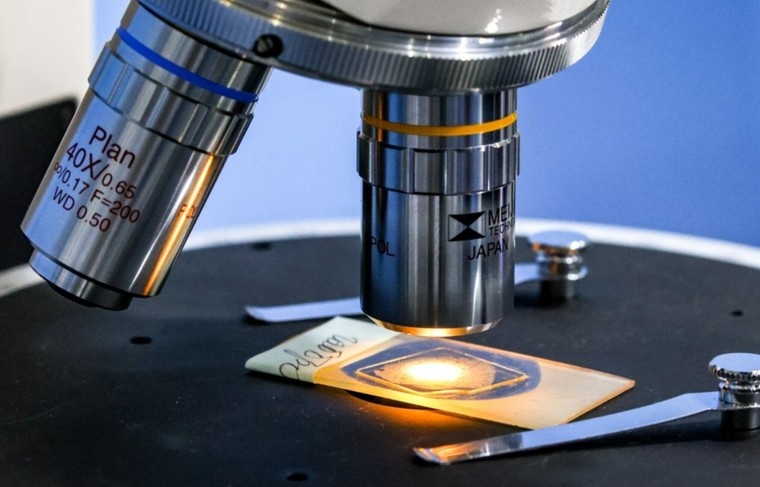    Сергей Лантюхов/NEWS.ru