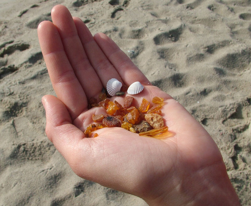 Источник: https://yandex.ru/images/search?img_url=http%3A%2F%2Fcs6.livemaster.ru%2Fstorage%2F22%2F8f%2F918f8124032ea831f5f5fe406bi0.jpg&lr=22&pos=0&rpt=simage&source=serp&stype=image&text=янтарь%20мелкий%20на%20берегу%20моря