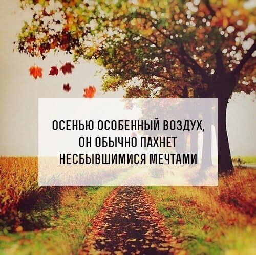 Источник: Яндекс картинки