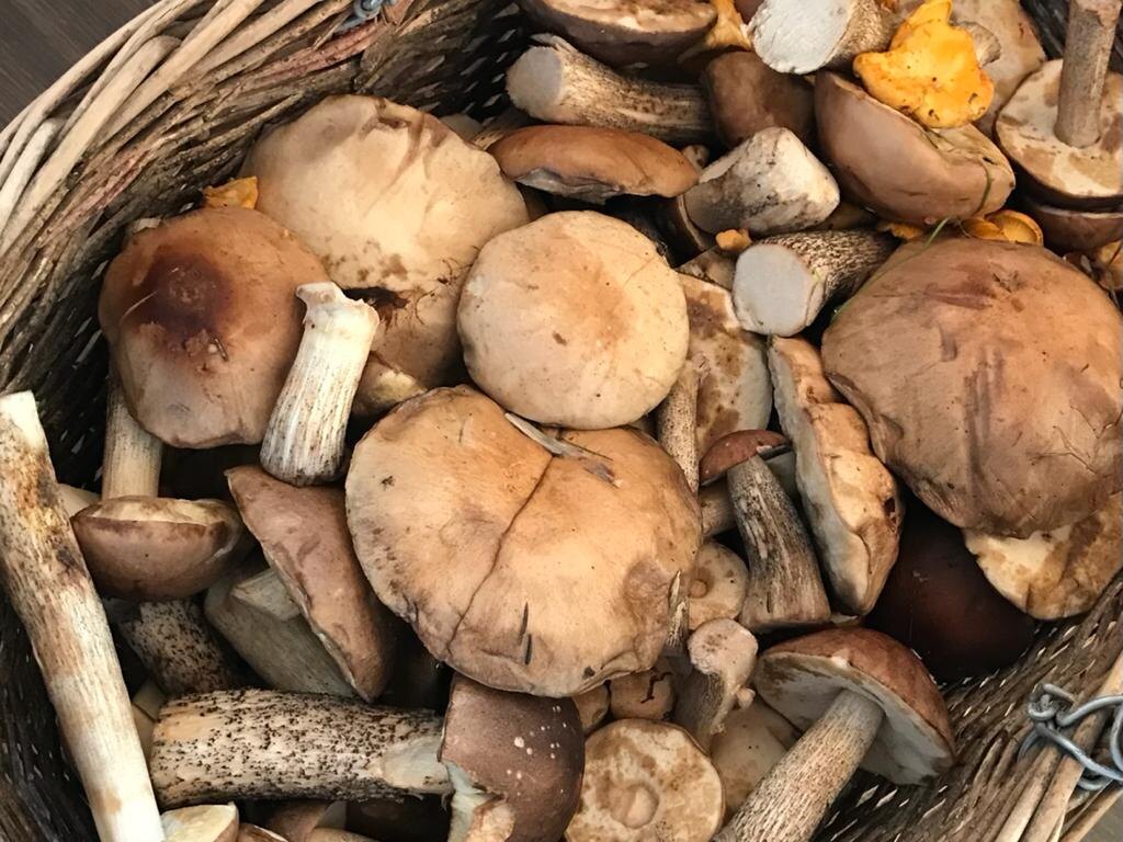    Фото: Светлана Лобова. UG.RU