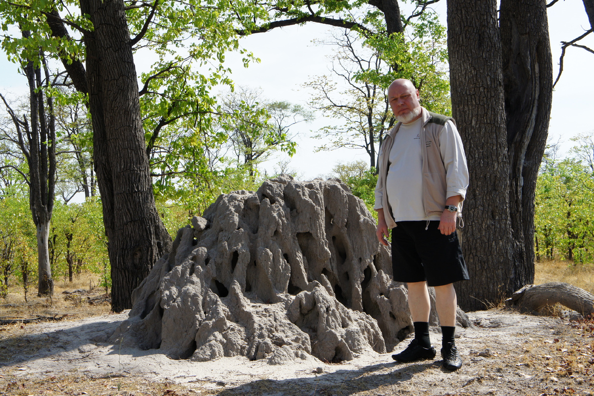 Это архитектурное сооружение в африканском буше отдалённо напоминает знаменитый собор Саграда Фамилиа в Барселоне, строительство которого началось в 1882 году. Первый проект Искупительного храма Святого Семейства (Temhle Expiatori de la Sagrada Familia) был подготовлен архитектором Франсиско дель Вильяром. Дальнейшую работу продолжил Антонио Гауди, благодаря которому этот храм стал одним из самых знаменитых в мире. Строительство планируют закончить в 2026 году. Существует поверье, что после окончания работ по возведению и внутреннему устройству храма наступит конец света. Может быть, именно поэтому собор до сих пор не достроен. Наше же архитектурное сооружение уже закончено и было возведено весьма быстро. Ботсвана, Мореми.