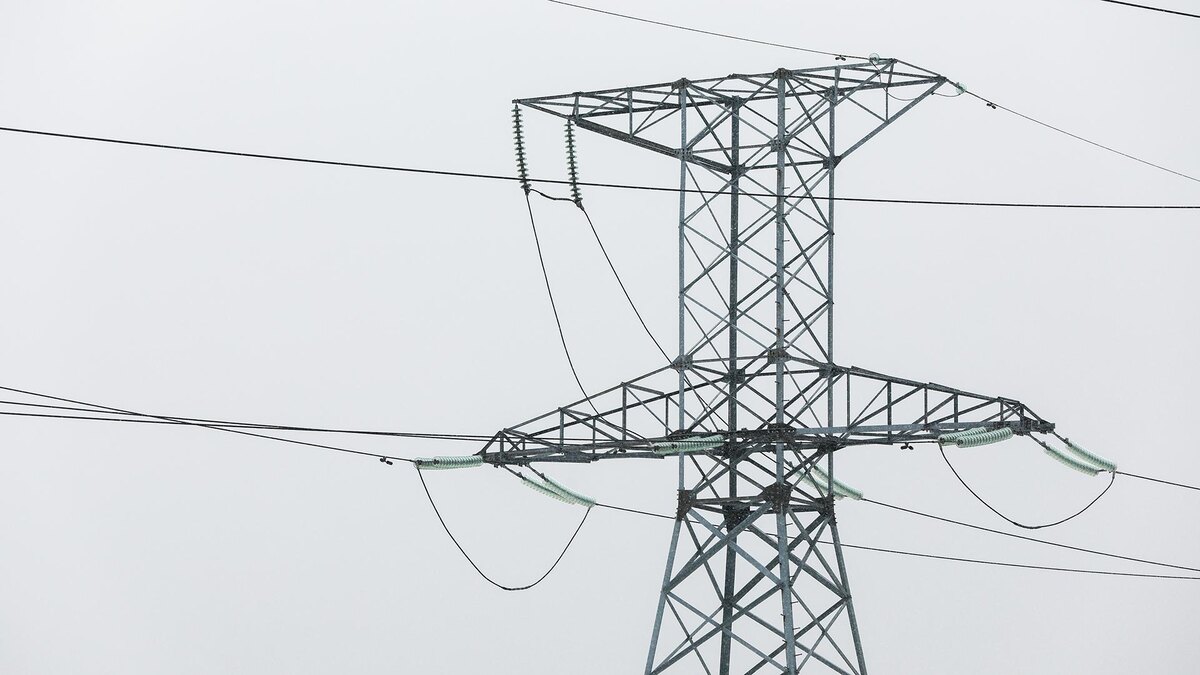    Фото: Belkin Alexey/globallookpress.com