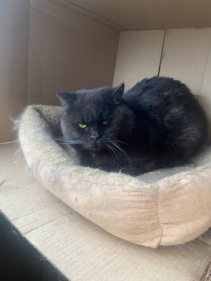 Люций немного суров, т. к. боится людей