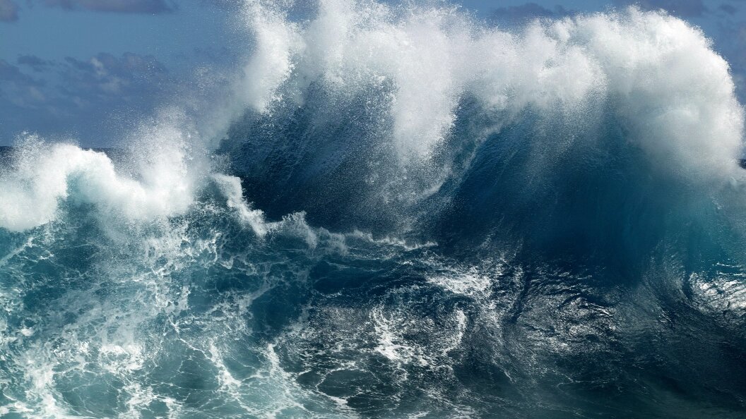    Фото: Andrei Kamenev/Russian Look/Globallookpress