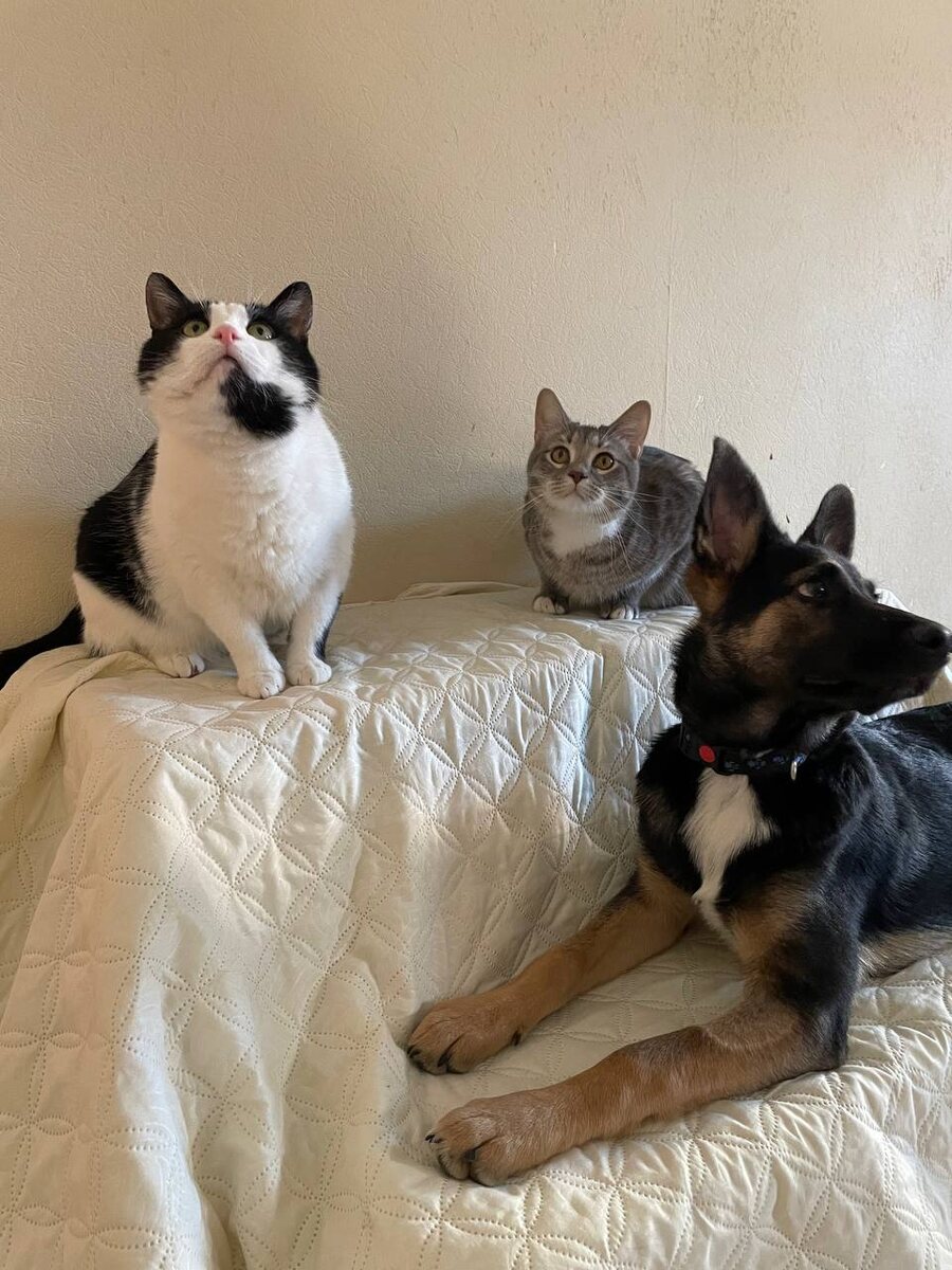 Все в сборе, можно снимать