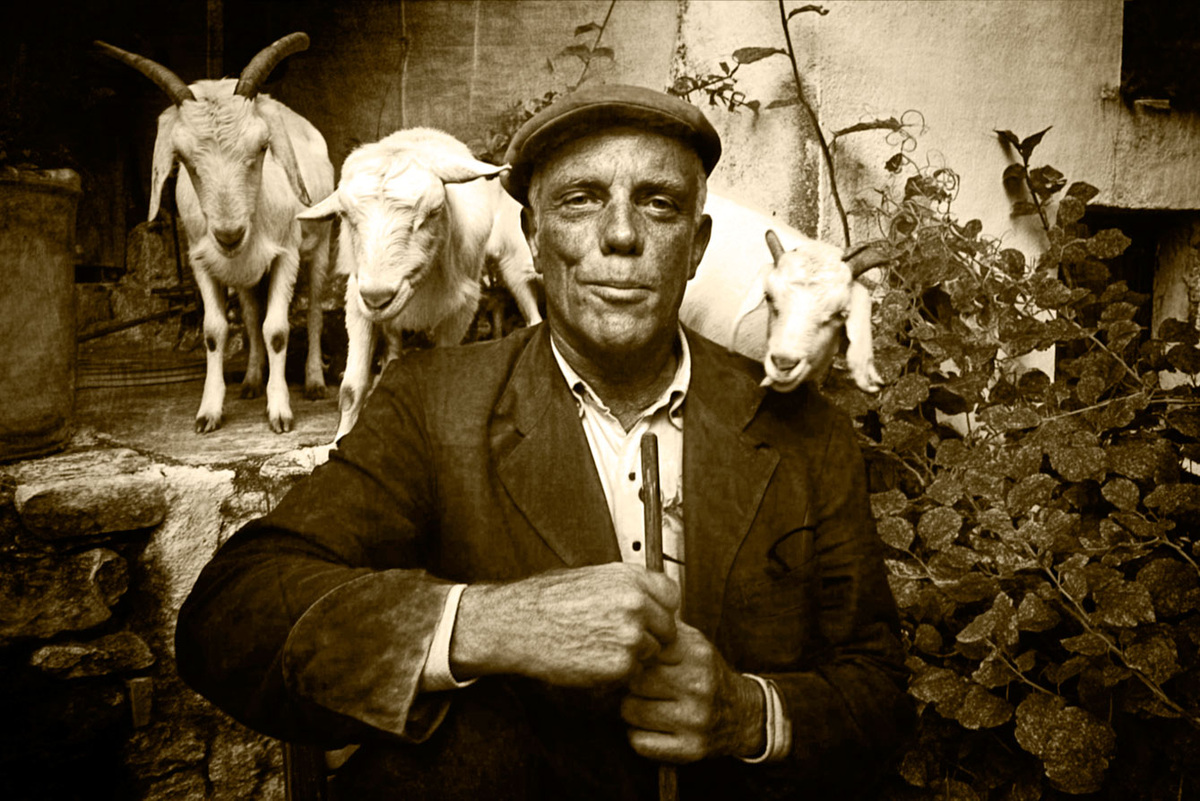 Давайте наслаждаться жизнью, не думая о стандартах