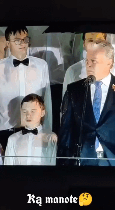    Фото: скриншот Telegram/Охранитель