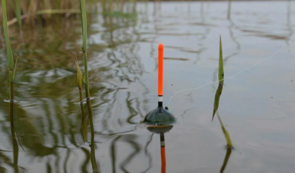 Рыбалка на поплавочную снасть. Источник фото kasheloff.ru