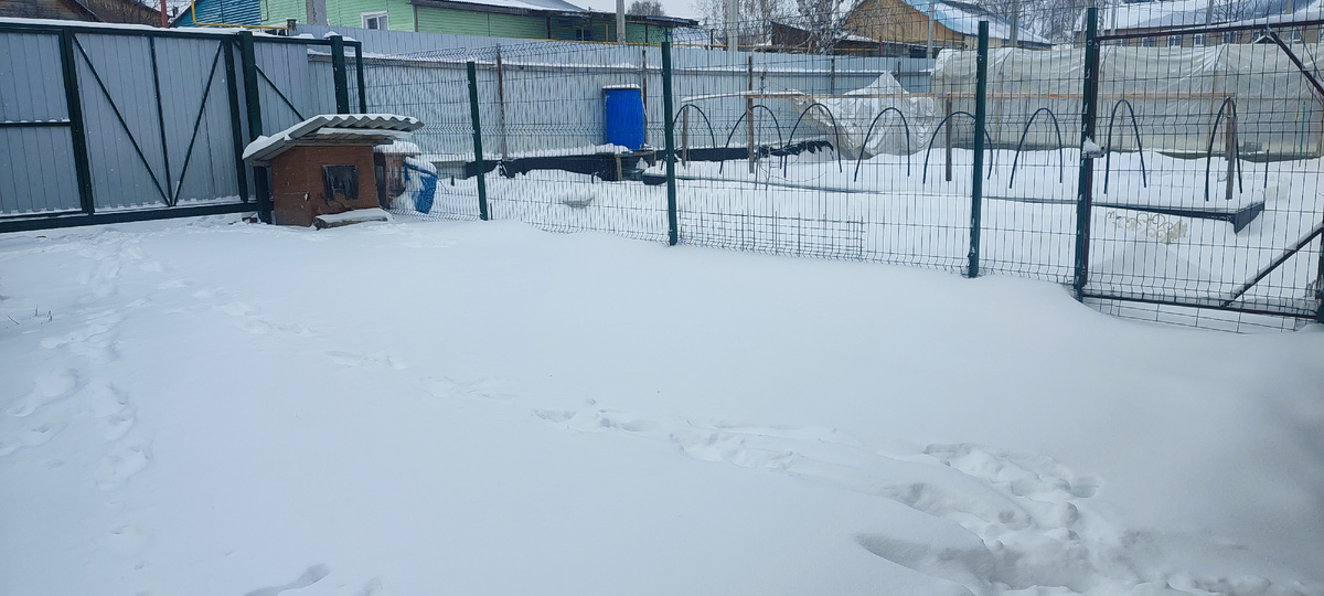 Ну и где спрашивается весна!? 