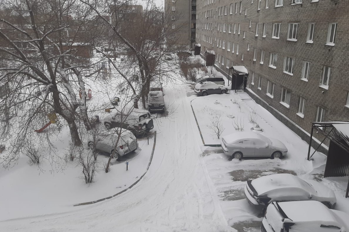    Фото: "Прецедент"