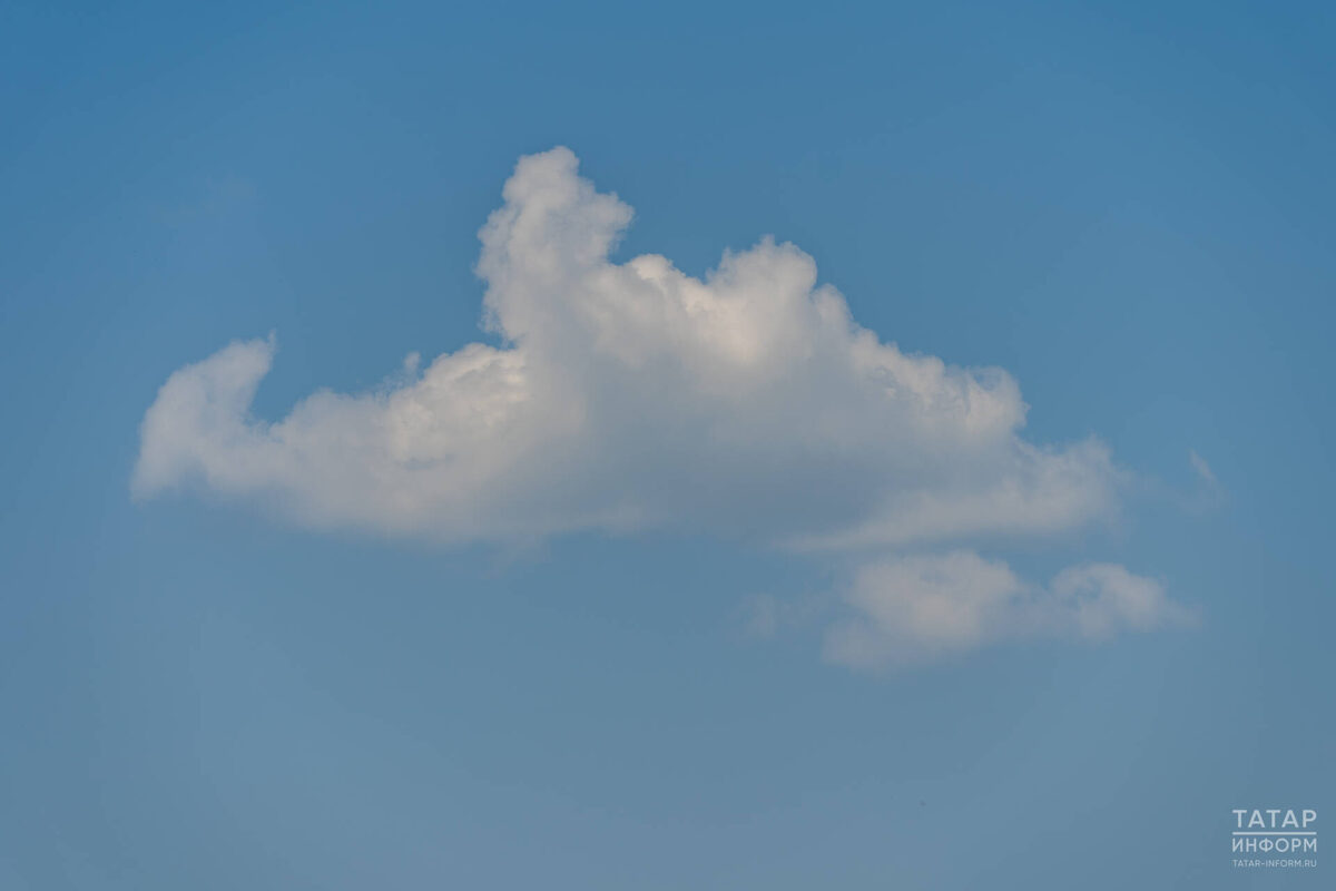 Фото: © Владимир Васильев / «Татар-информ»