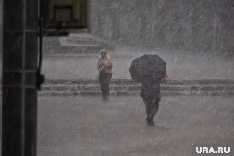 С августа по ноябрь в бассейне реки Тобол выпало рекордное количество осадков
Фото: Екатерина Сычкова © URA.RU