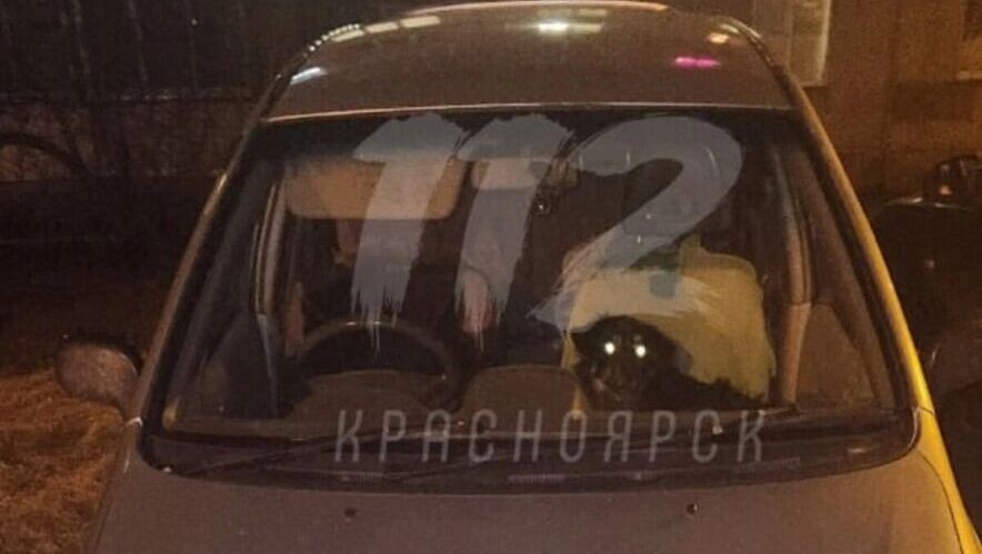     Источник: 112 Красноярск