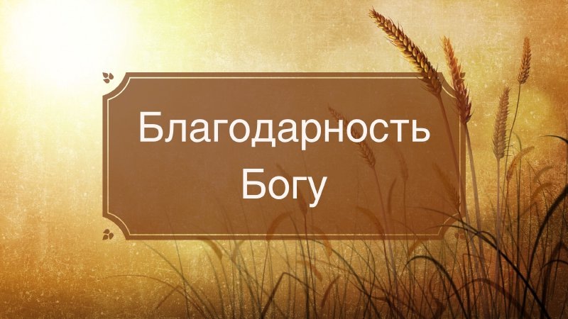 Из открытых источников Яндекса.