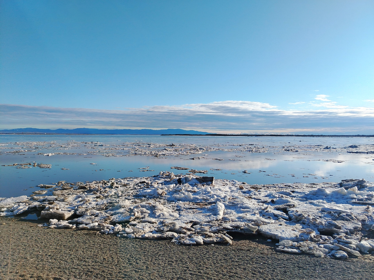 Амур в центре Хабаровска