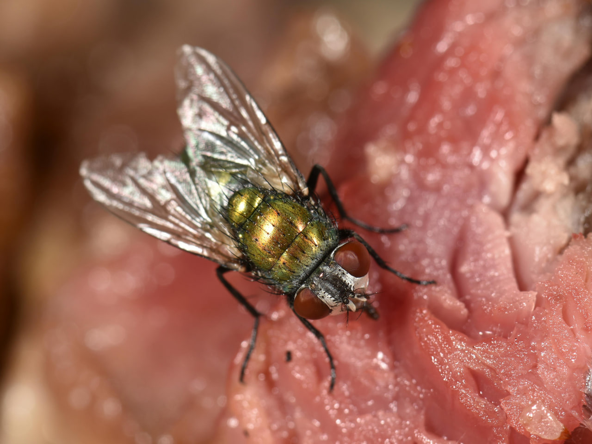     / Источник: © Michael Weber/Global Look Press