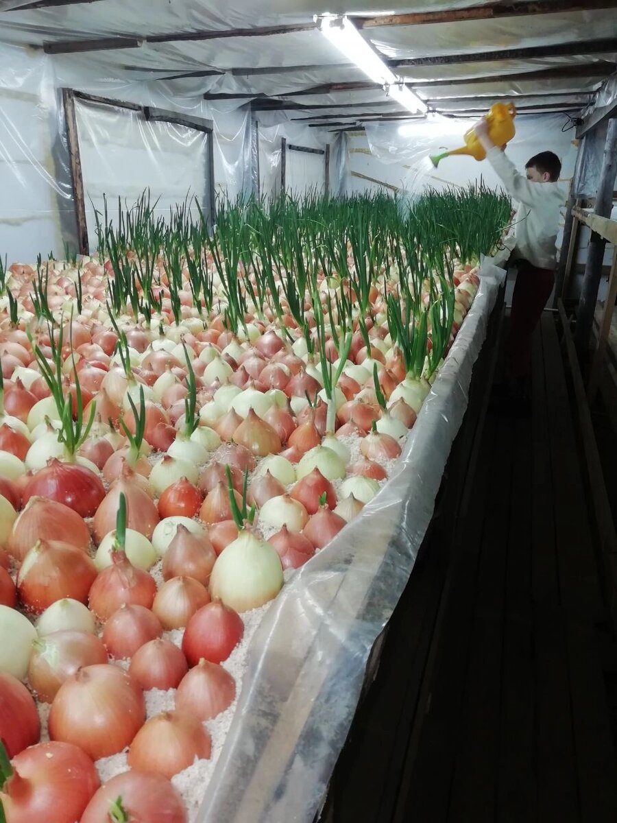    Фото: Из личного архивa