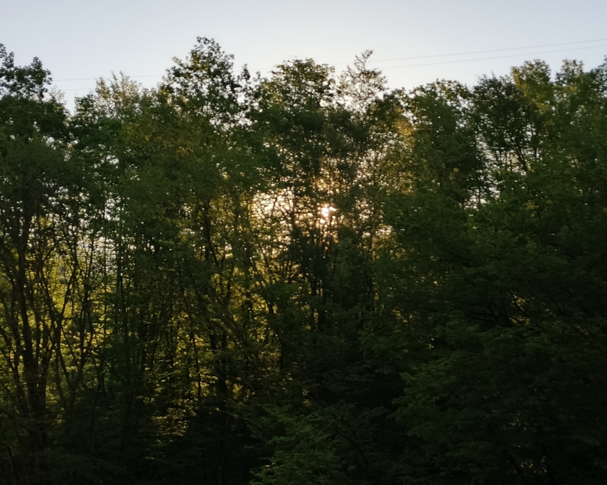 Адлер, 19 апреля 2025 г.