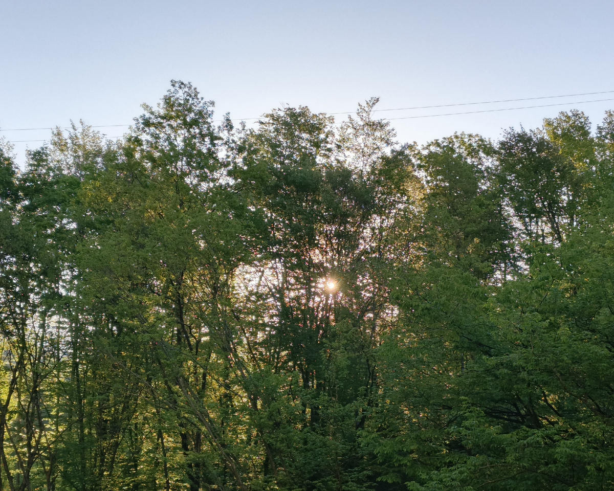 Адлер, 19 апреля 2025 г.