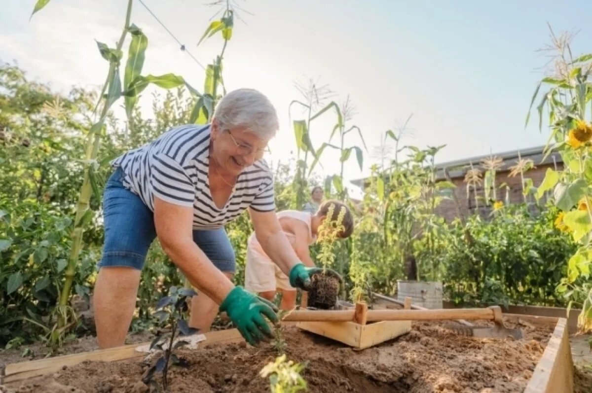    На «черный день» или мечту.