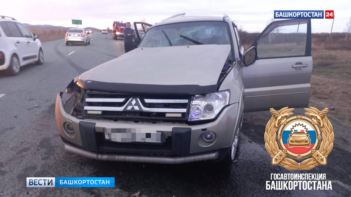    В ДТП в Абзелиловском районе Башкортостана погибла 13-летняя девочка