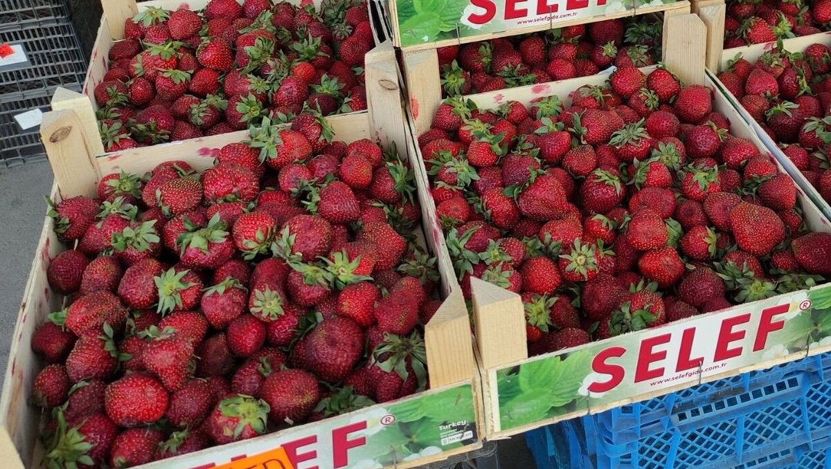     Источник: rostovgazeta.ru