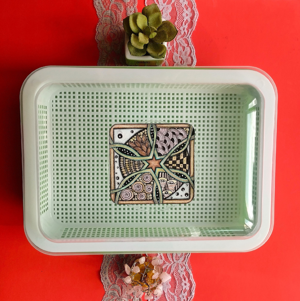 Специализированный сетчатый проращиватель. Для композиции фото использовала свой рисунок в технике зенарт.