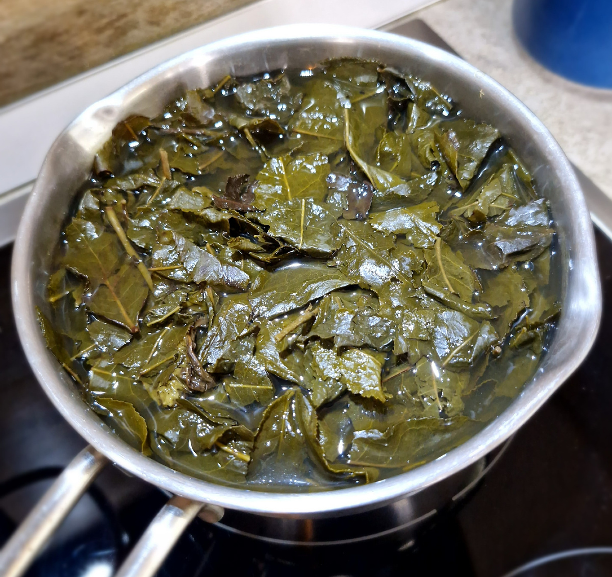 Отвар из листового зеленого чая