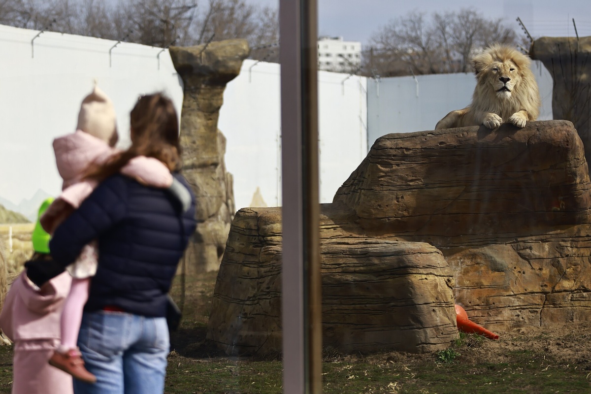 Автор фото: Павел Хацаюк / ИД «Вечерняя Казань»