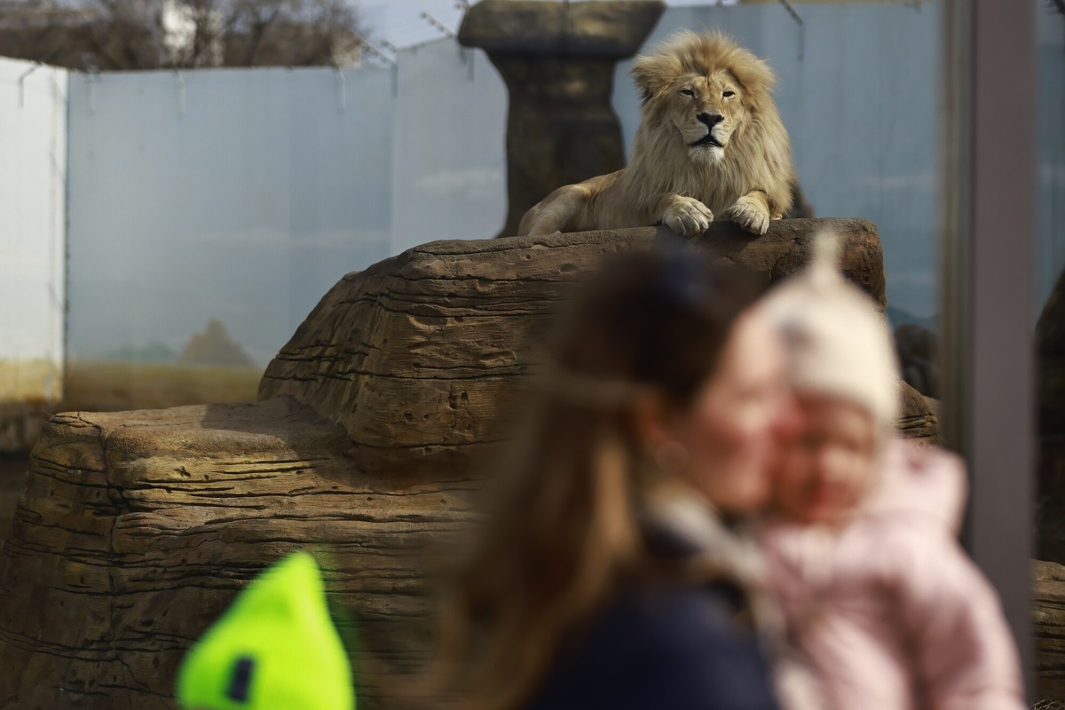 Автор фото: Павел Хацаюк / ИД «Вечерняя Казань»
