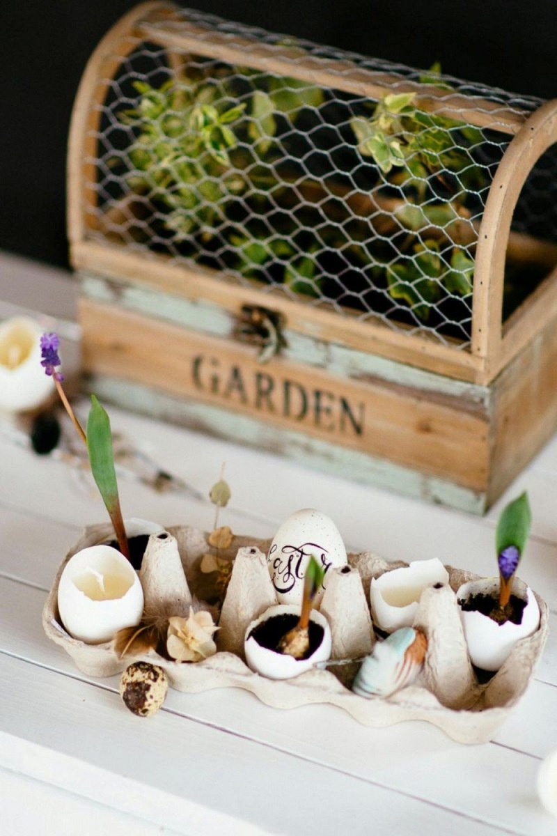 Фото: pexels.com
