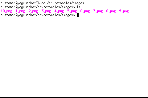 Приложение xterm, работающее в графическом режиме
