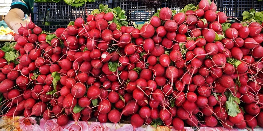 Фото: РИА Новости/Игорь Зарембо