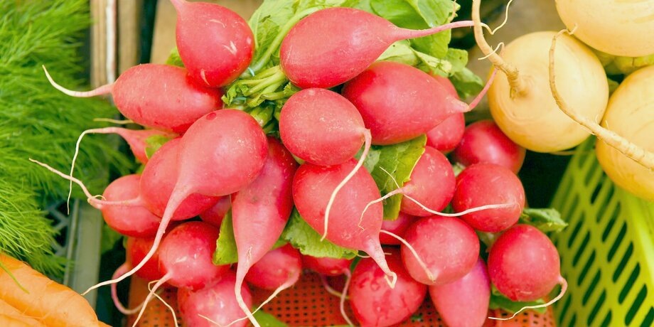 Фото: Агентство "Москва"/Сергей Киселев