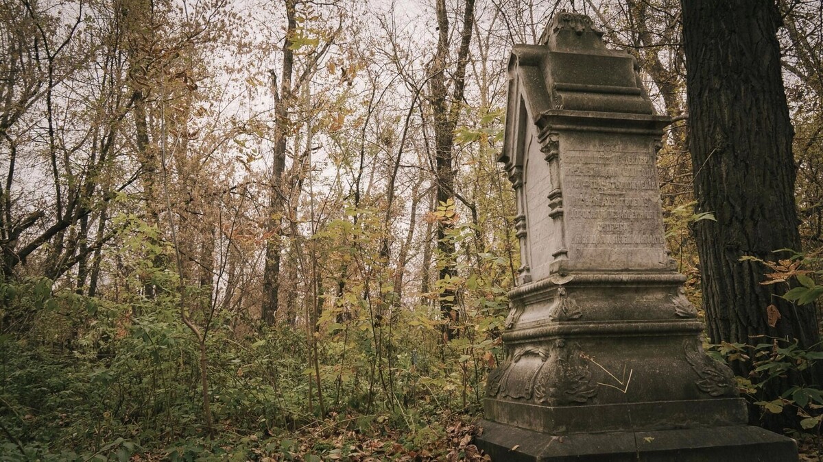     Источник: 1MI