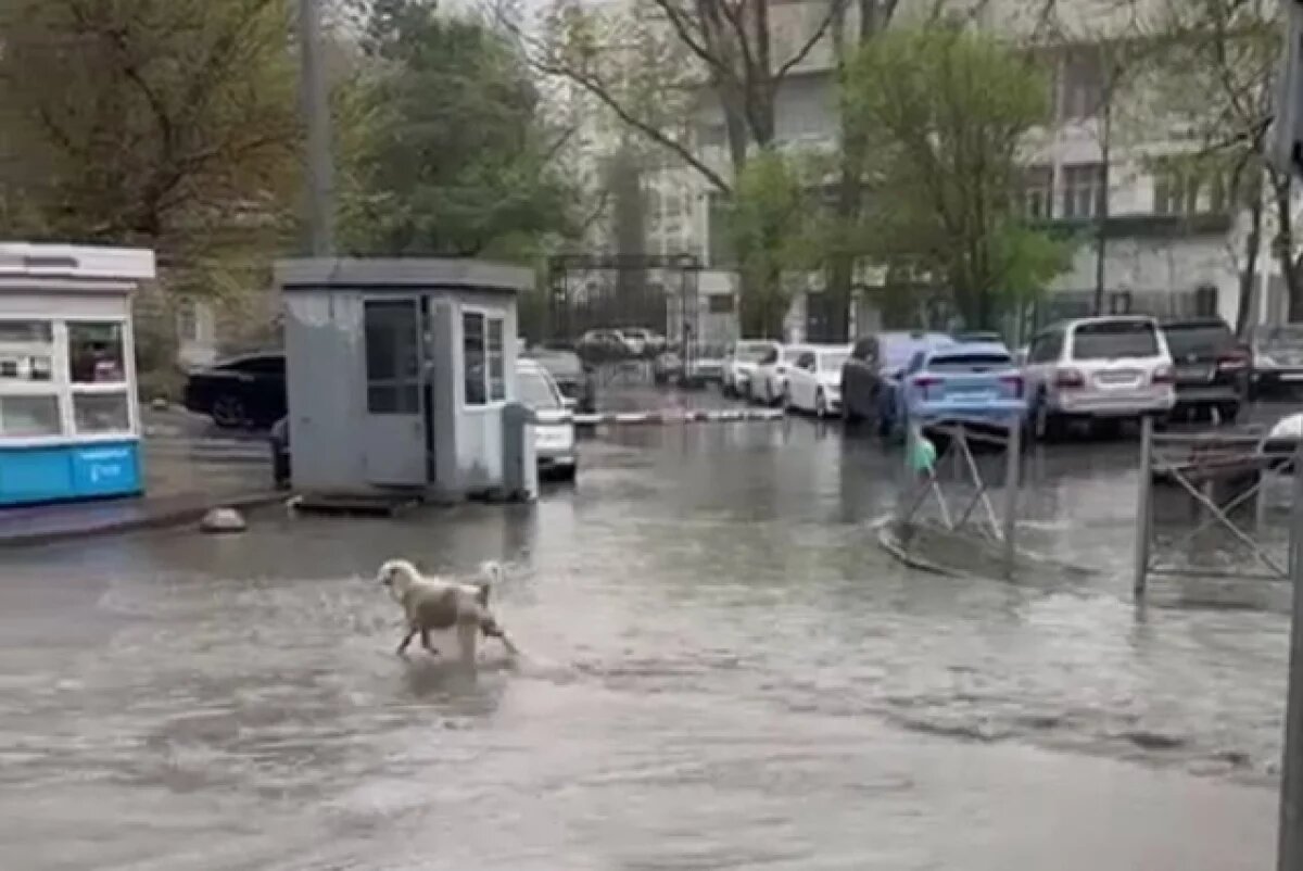    Достроить ливнёвки в Махачкале подрядчику помешали судебные разборки