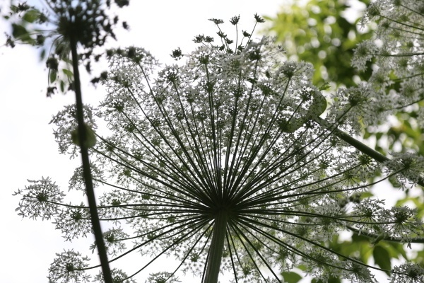 Фото: РИА Новости/Павел Львов