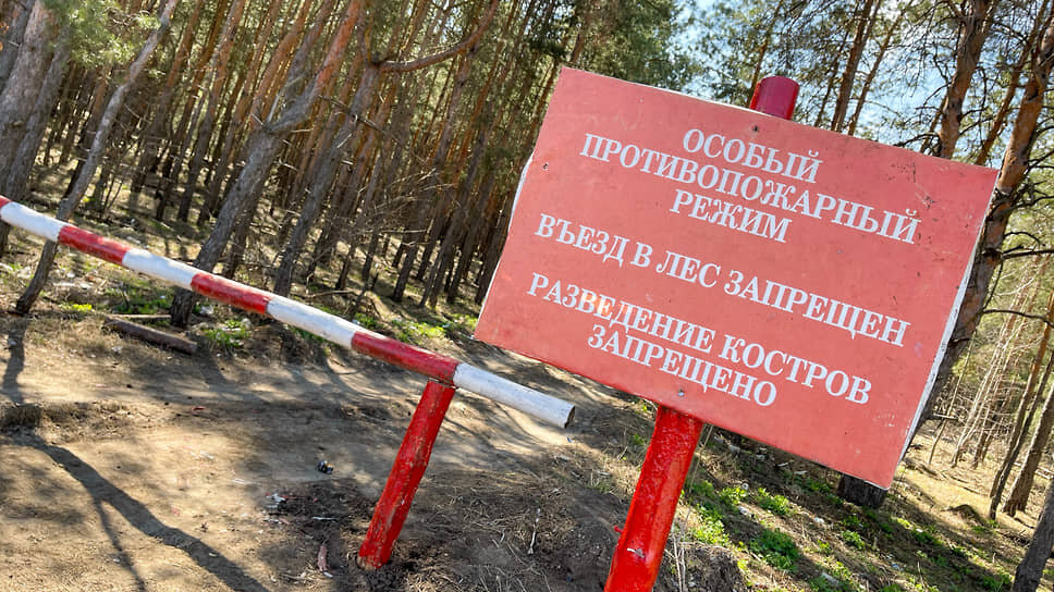 Фото: Олег Харсеев / Коммерсантъ