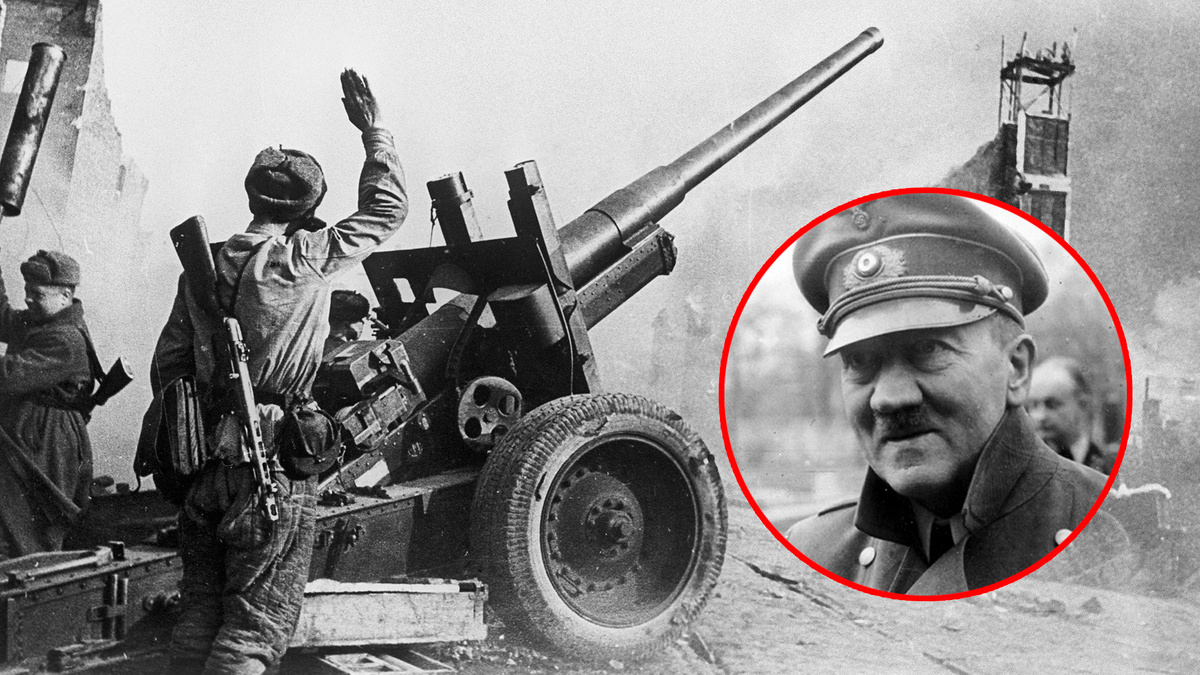 Sputnik; Общественное достояние