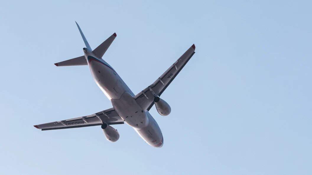    Фото: Roman Naumov/URA.RU/Globallookpress