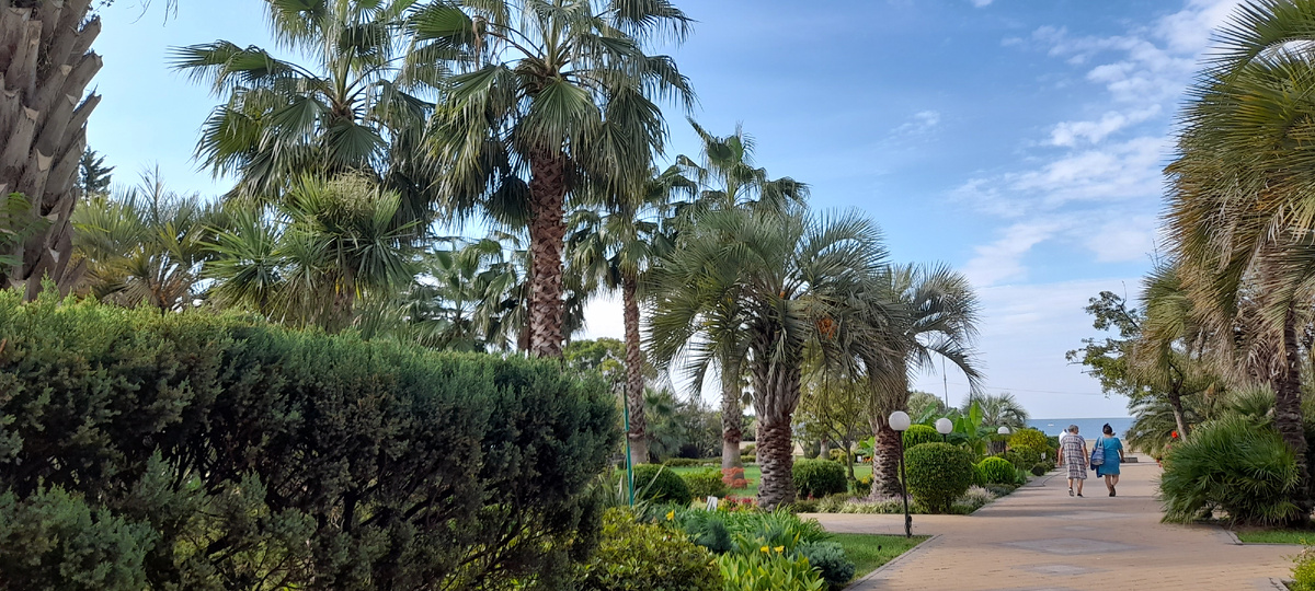 Дорога к морю