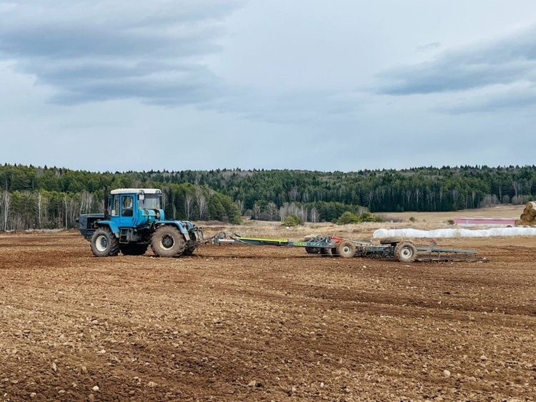    В Прикамье весенне-полевые 2025 стартуют примерно 6 мая