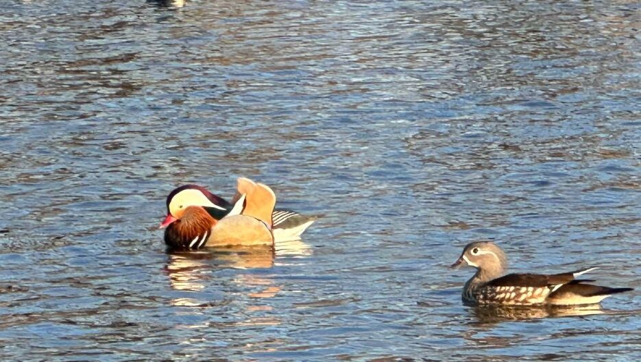     Источник: vostokmedia.com