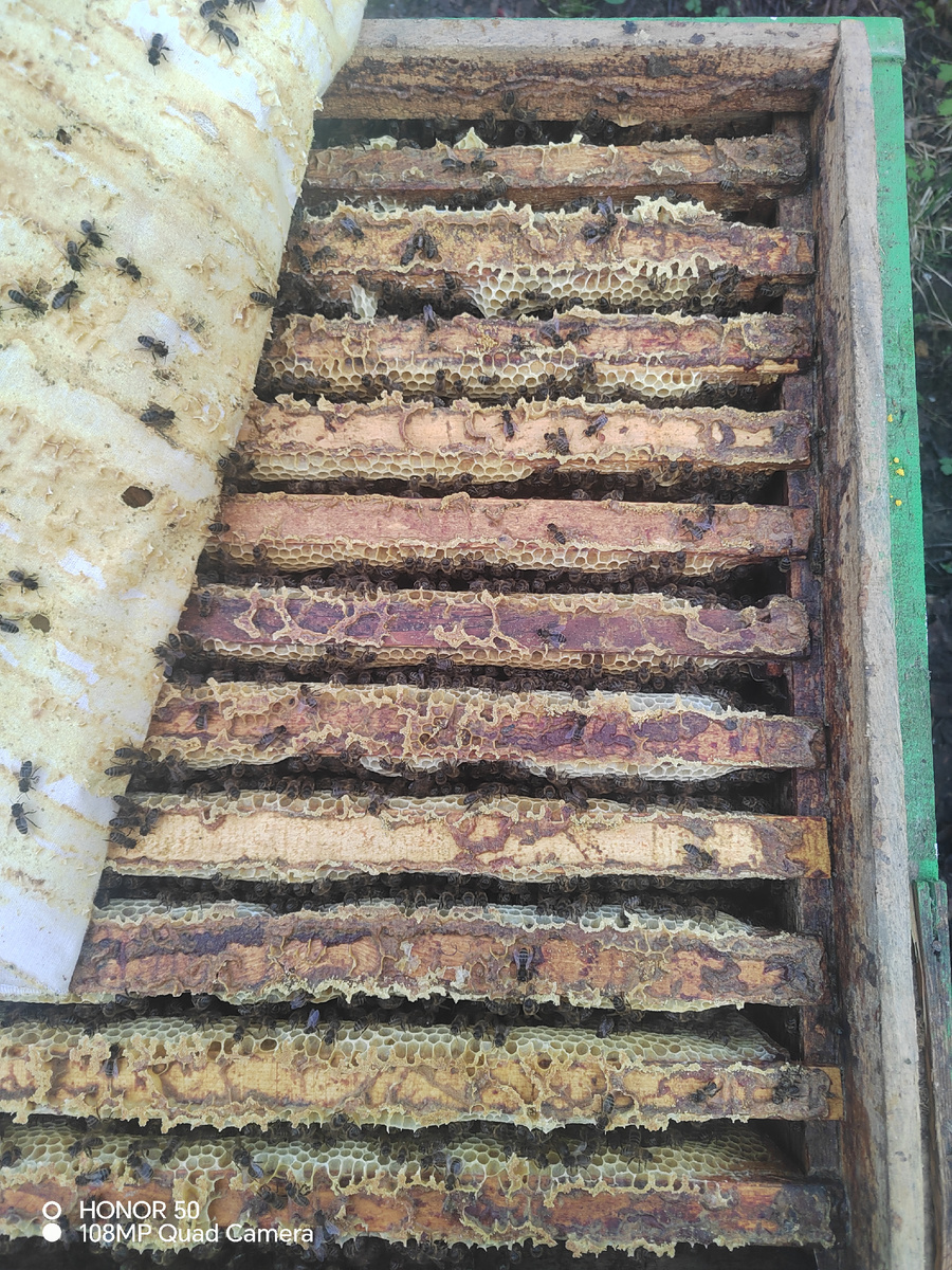 Вскрытый магазин 